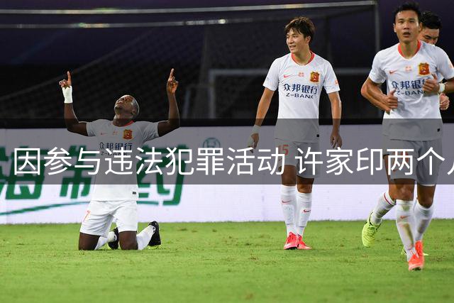 因参与违法犯罪活动 许家印两个儿子一审被判有期徒刑